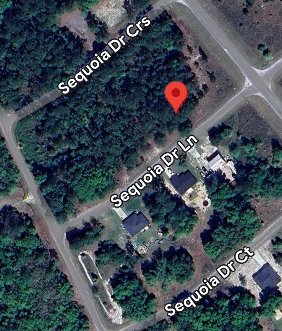33 SEQUOIA DRIVE LN, OCKLAWAHA, FL