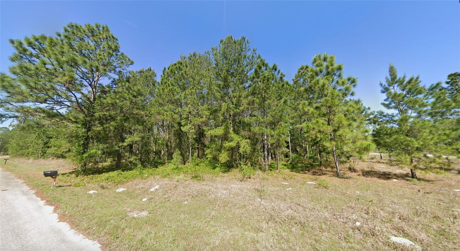 33 SEQUOIA DRIVE LN, OCKLAWAHA, FL — photo 2