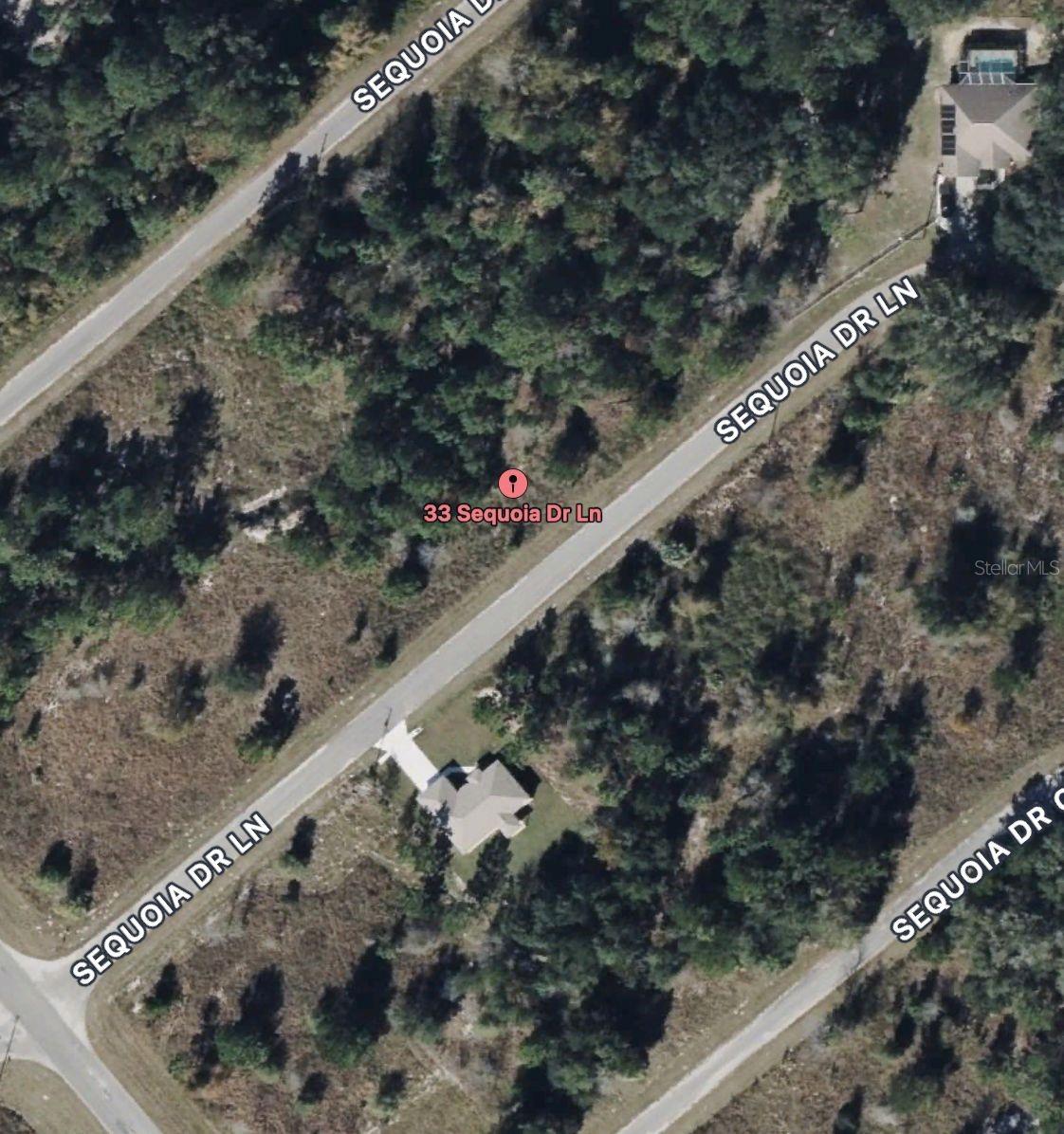 33 SEQUOIA DRIVE LN, OCKLAWAHA, FL — photo 3