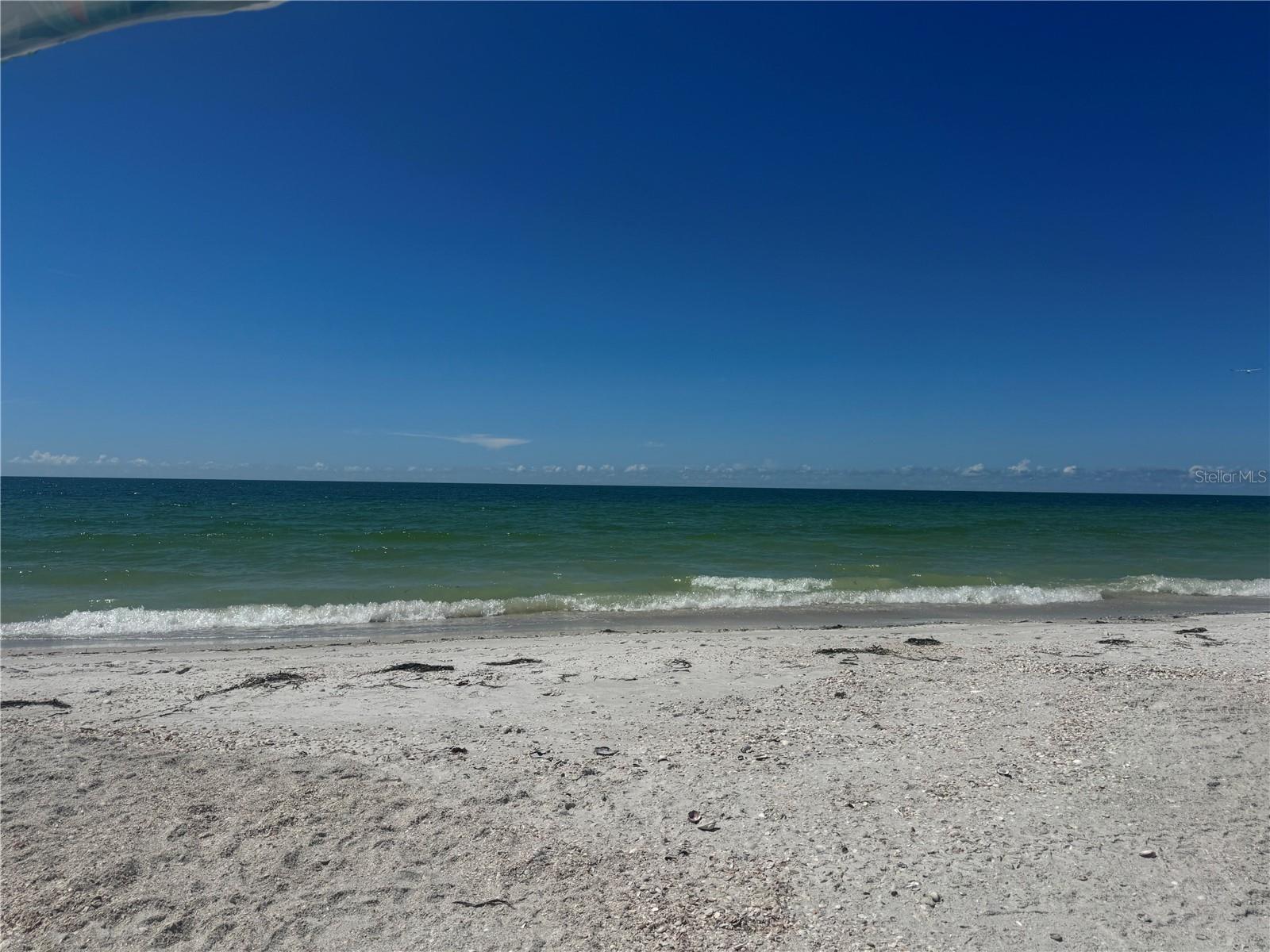 111 86TH AVE #1, TREASURE ISLAND, FL — photo 10