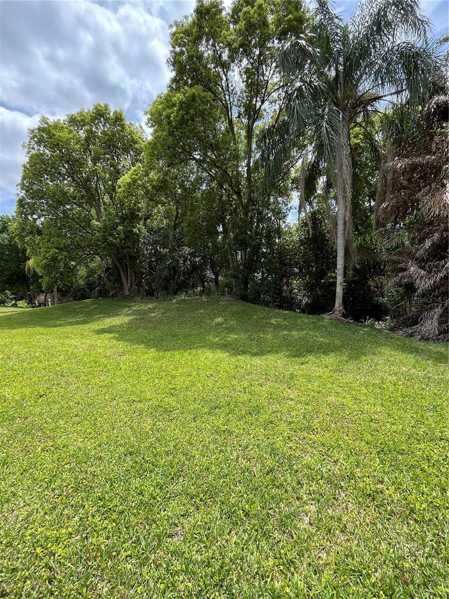 1052 MEDINAH DR, WINTER HAVEN, FL — photo 39