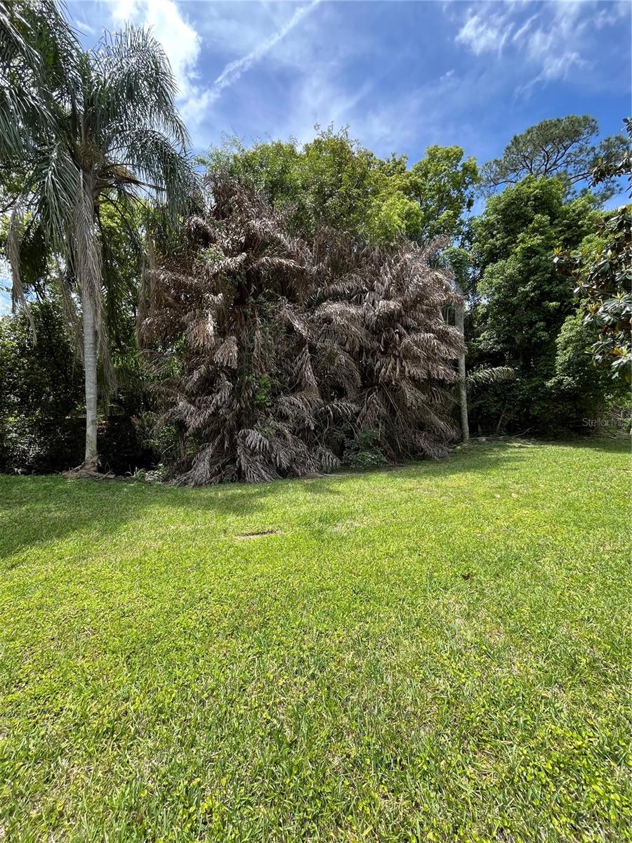 1052 MEDINAH DR, WINTER HAVEN, FL — photo 40