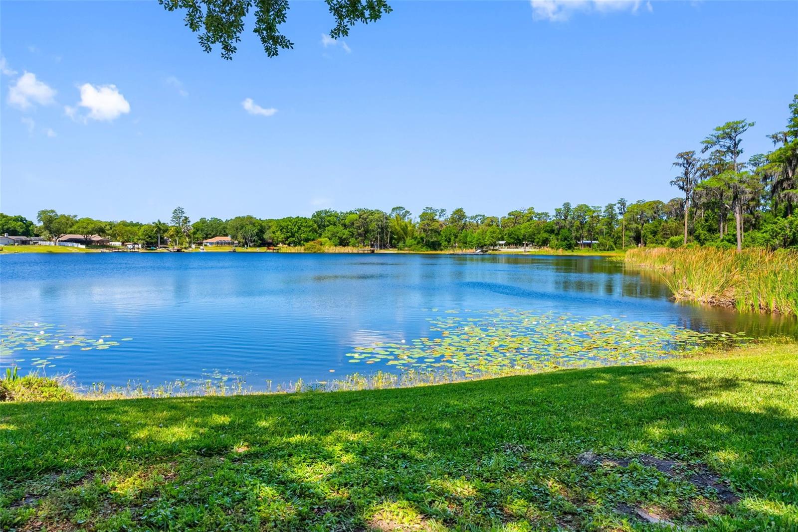 10209 LAKE GROVE DR, ODESSA, FL