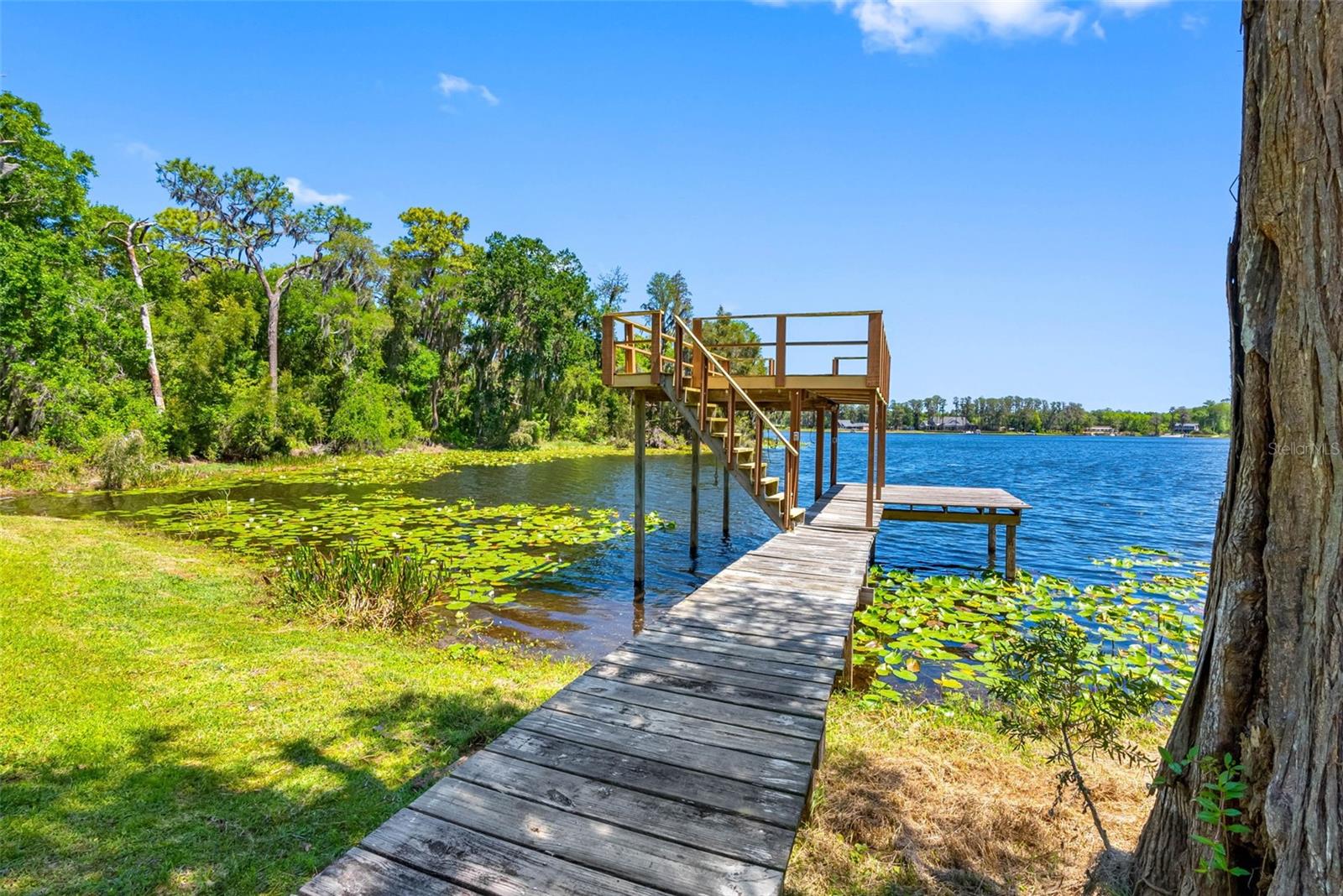 10209 LAKE GROVE DR, ODESSA, FL — photo 54