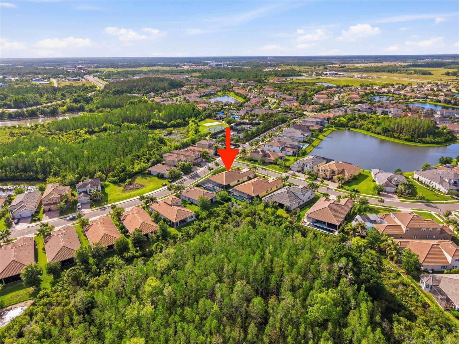 2420 COCO PALM CIR, WESLEY CHAPEL, FL — photo 79