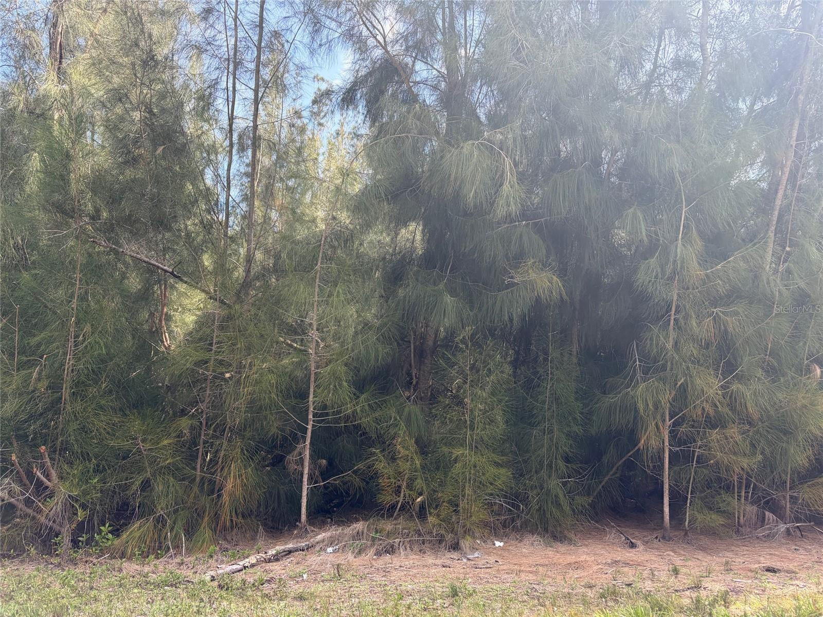 12088 ESTRELLA BLVD, PUNTA GORDA, FL