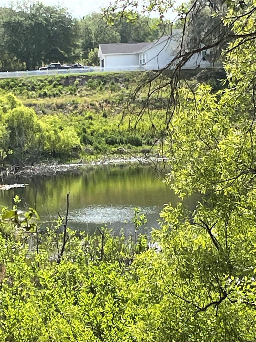 REDBUD RD, LADY LAKE, FL