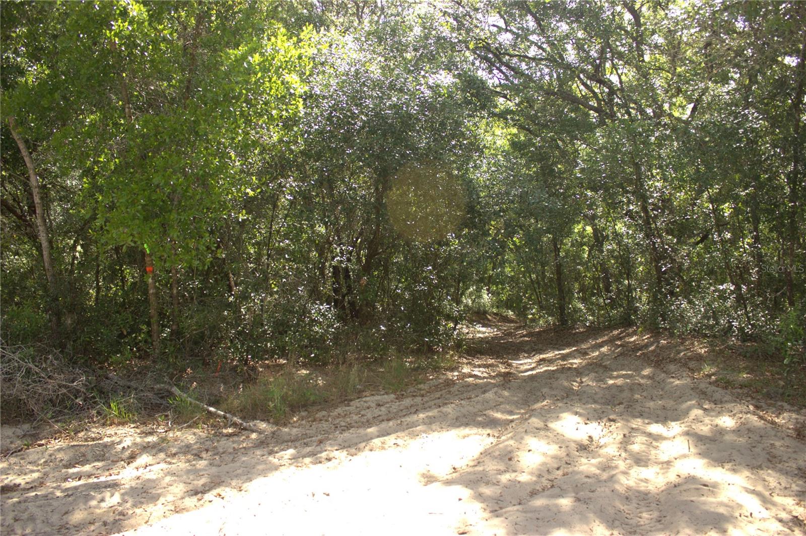 REDBUD RD, LADY LAKE, FL — photo 3