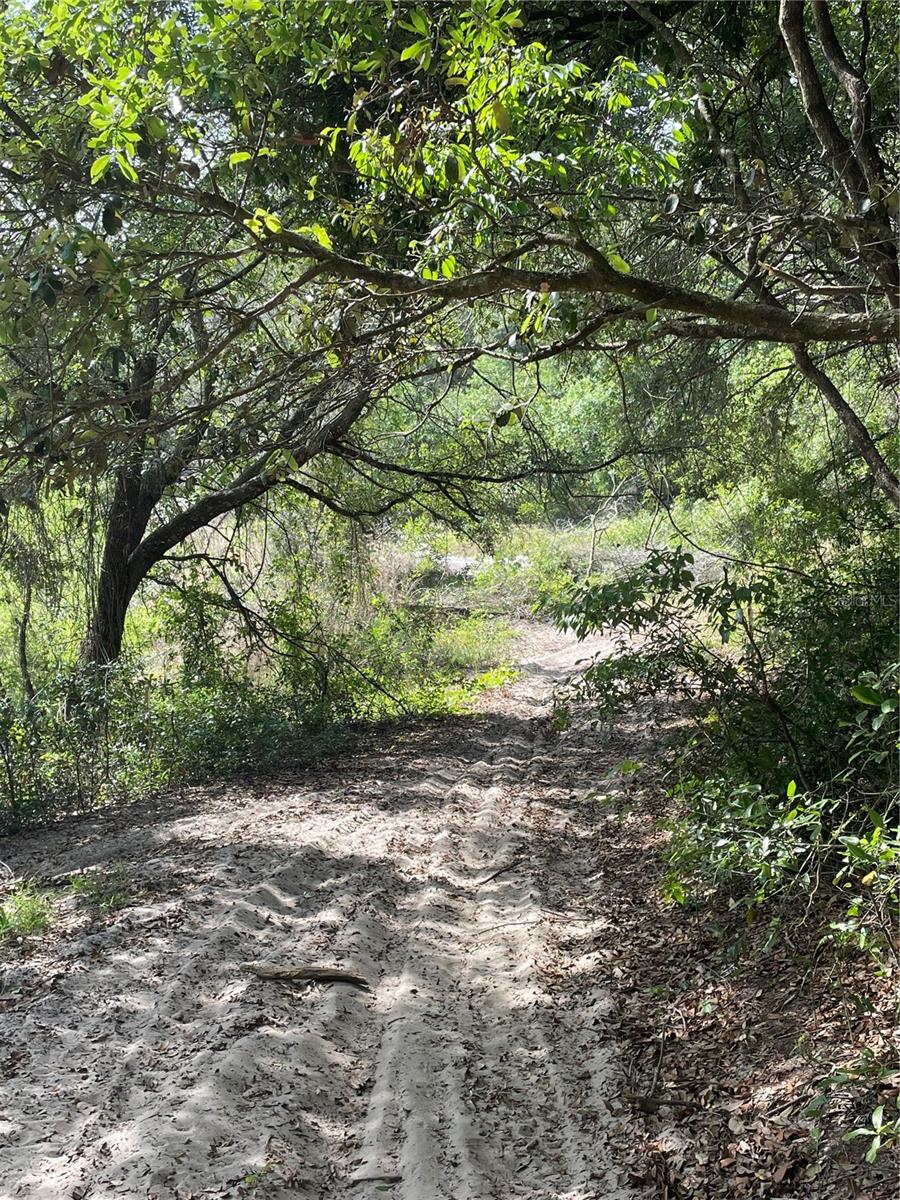 REDBUD RD, LADY LAKE, FL — photo 10