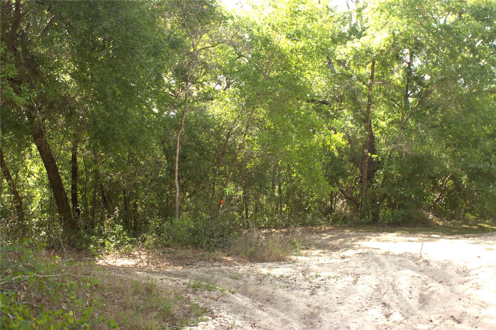 REDBUD RD, LADY LAKE, FL — photo 12