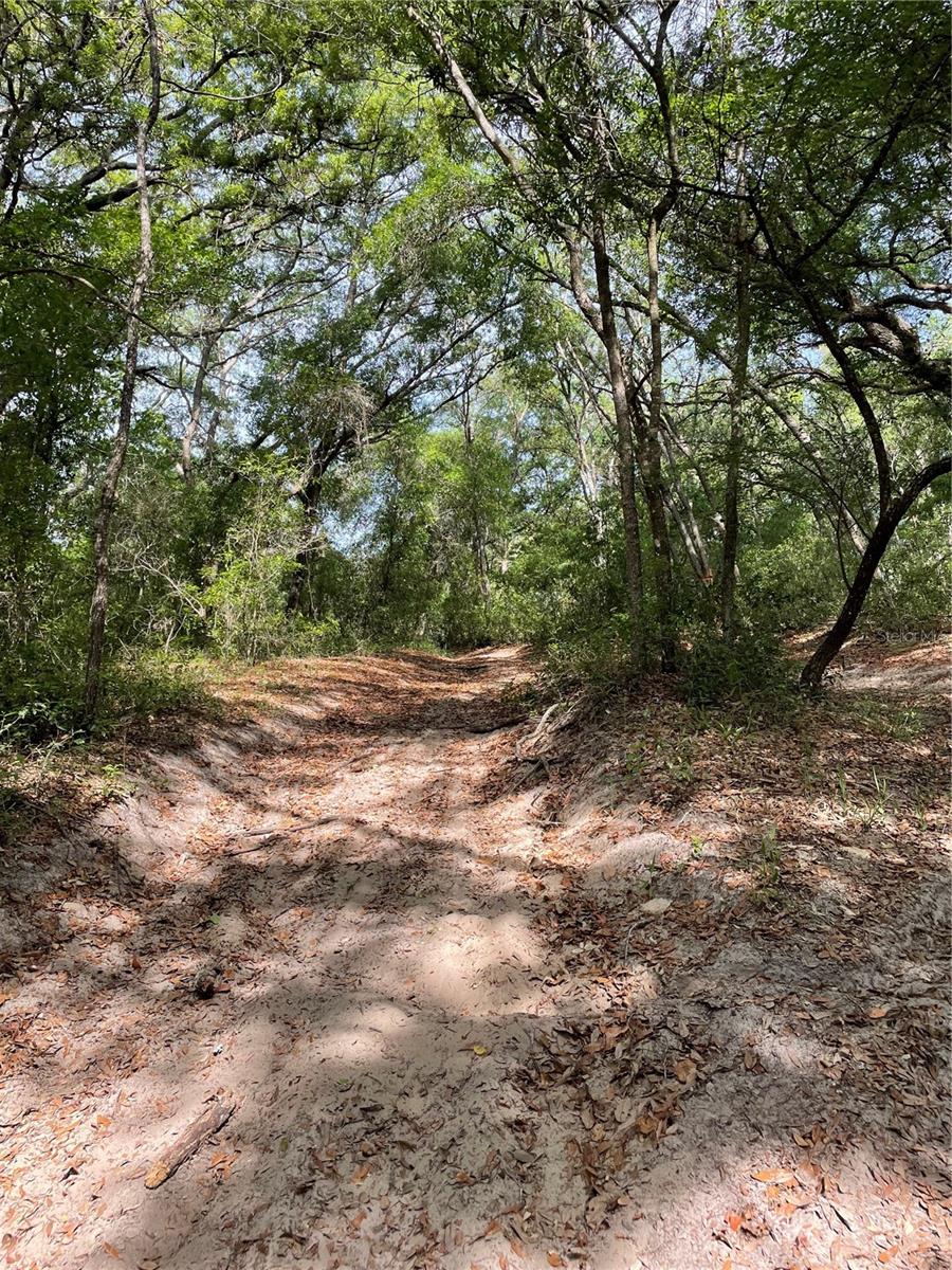 REDBUD RD, LADY LAKE, FL — photo 15