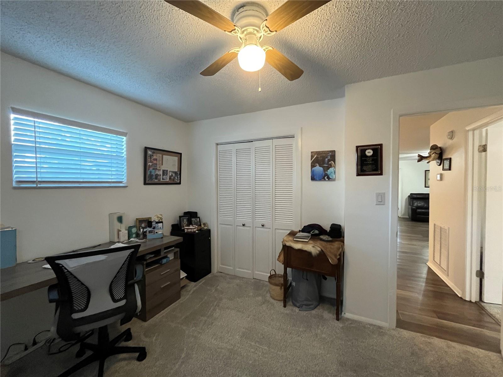407 POINSETTIA AVE, FRUITLAND PARK, FL — photo 31
