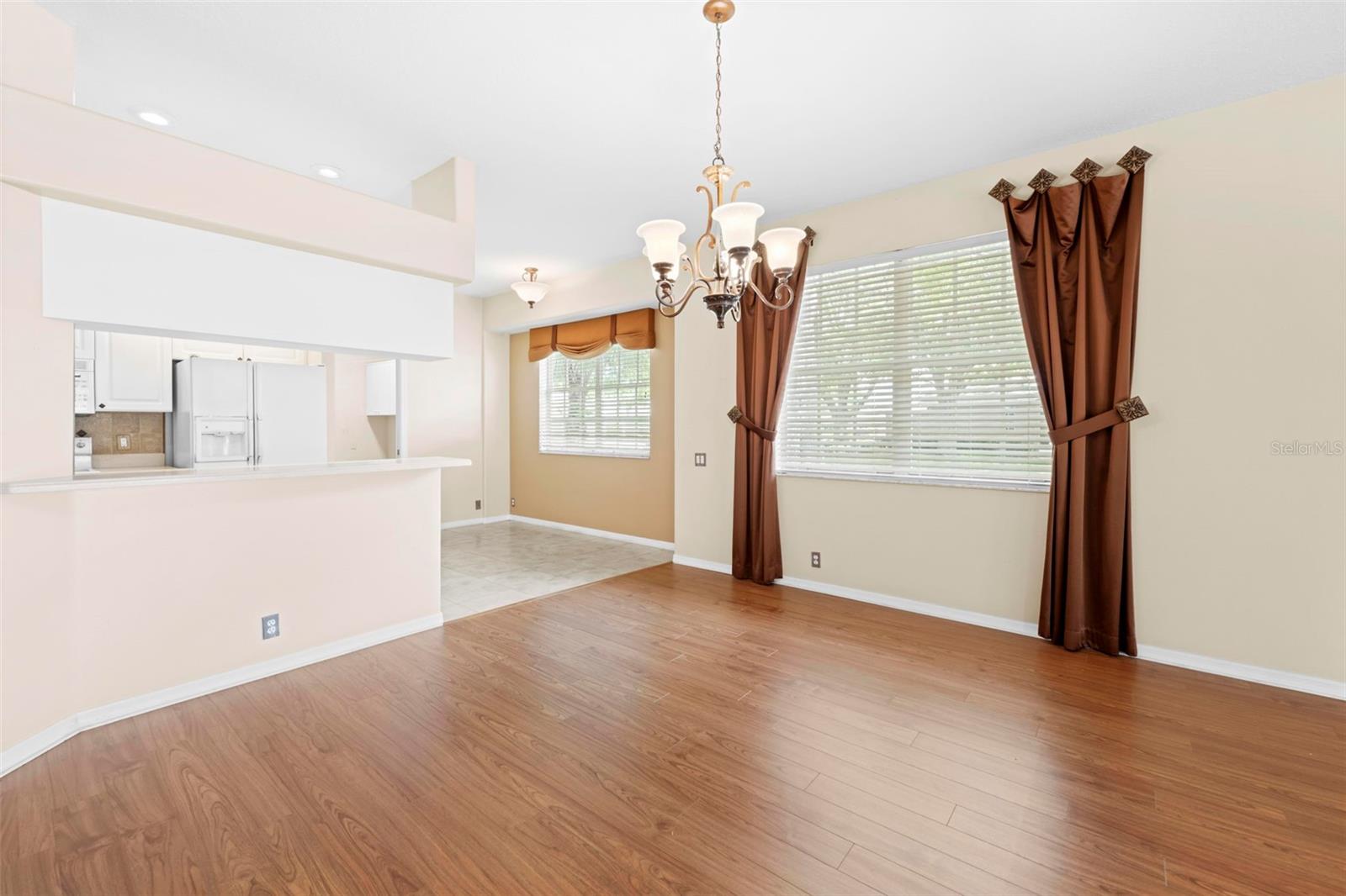 15028 MIDDLE FAIRWAY DR, SPRING HILL, FL — photo 9