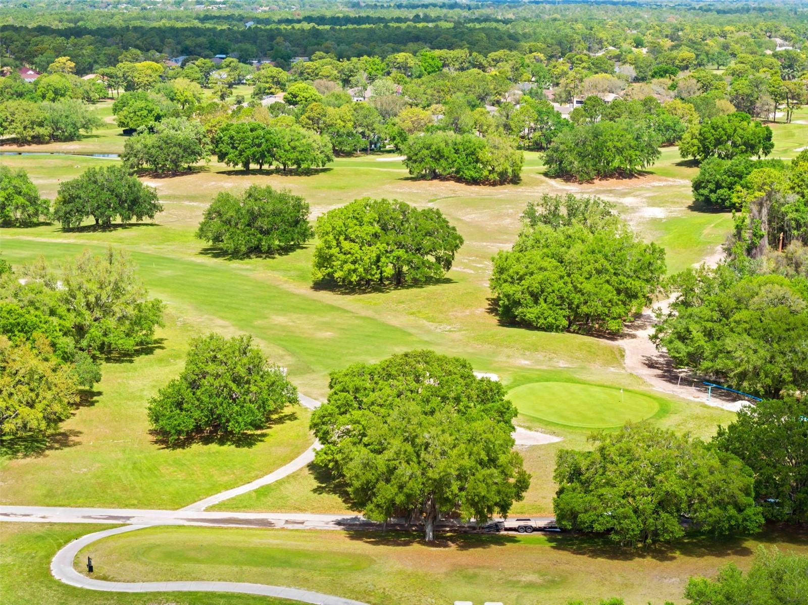 15028 MIDDLE FAIRWAY DR, SPRING HILL, FL — photo 27