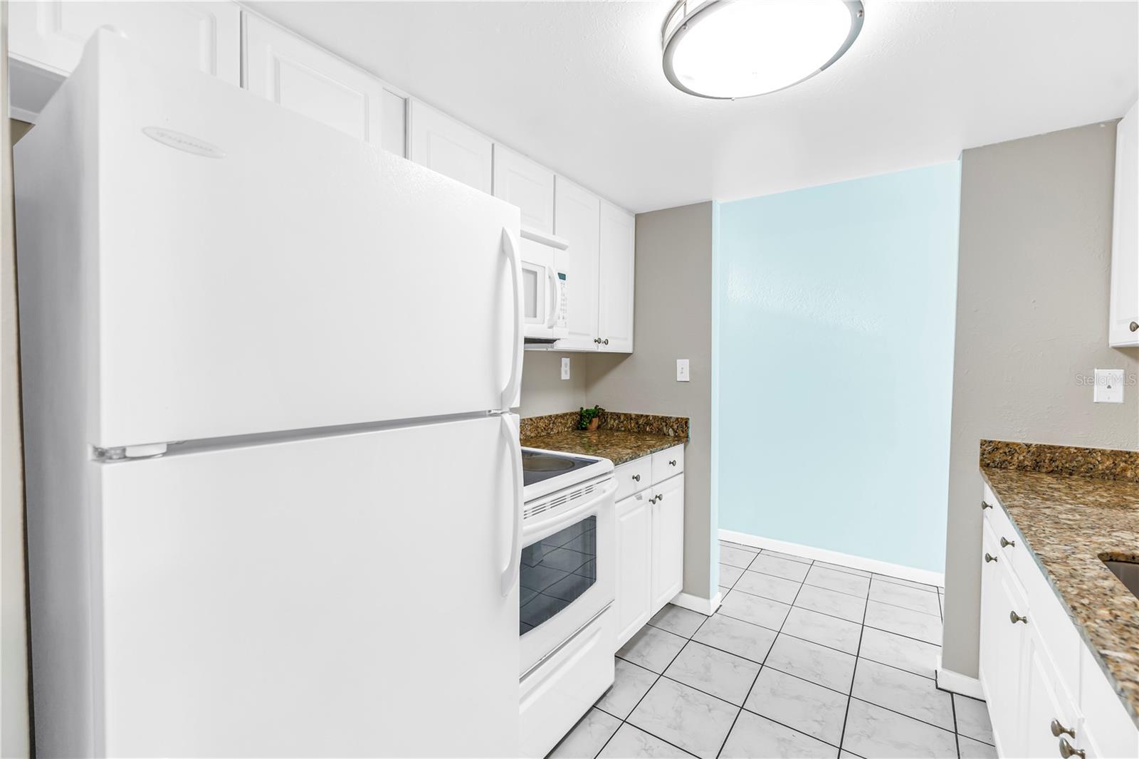 3795 41ST LN S #H, ST PETERSBURG, FL — photo 10