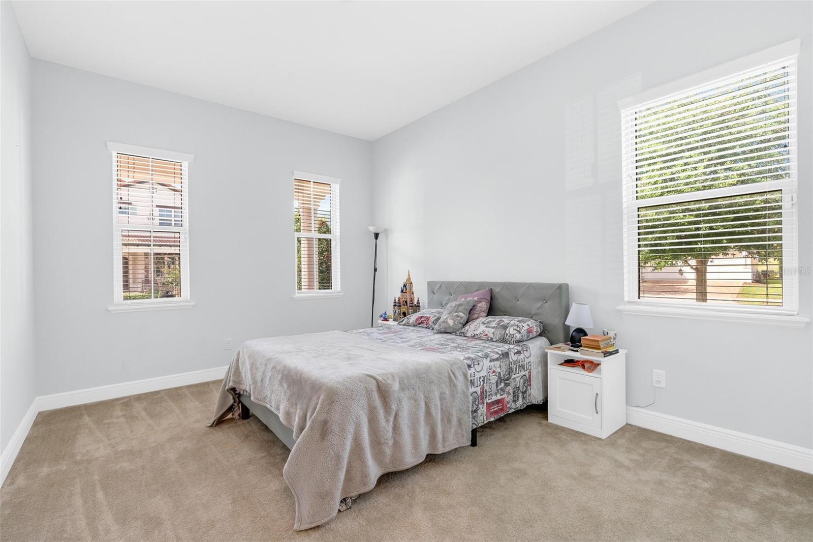 15161 CANOE PL, WINTER GARDEN, FL — photo 44