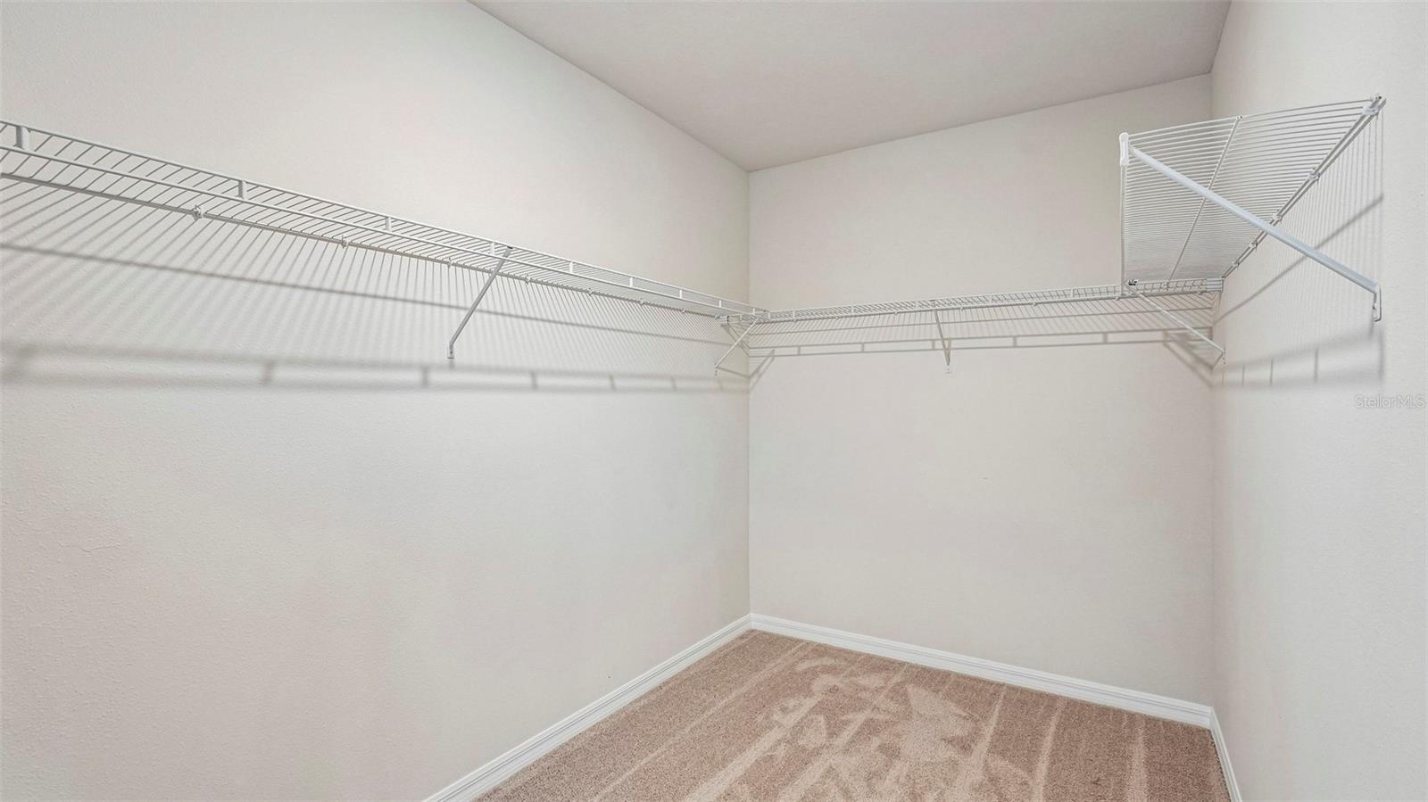 17143 JAMES TRL, PARRISH, FL — photo 19