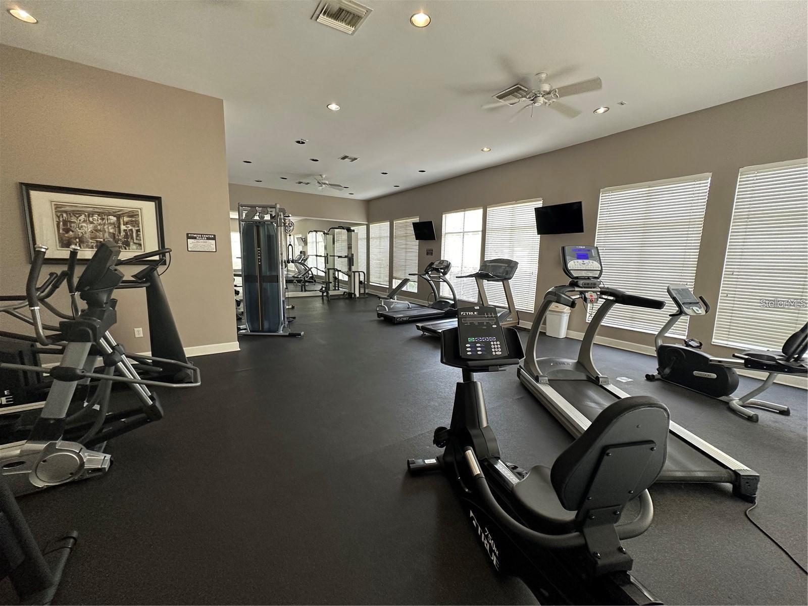 5125 PALM SPRINGS BLVD #13104, TAMPA, FL — photo 40