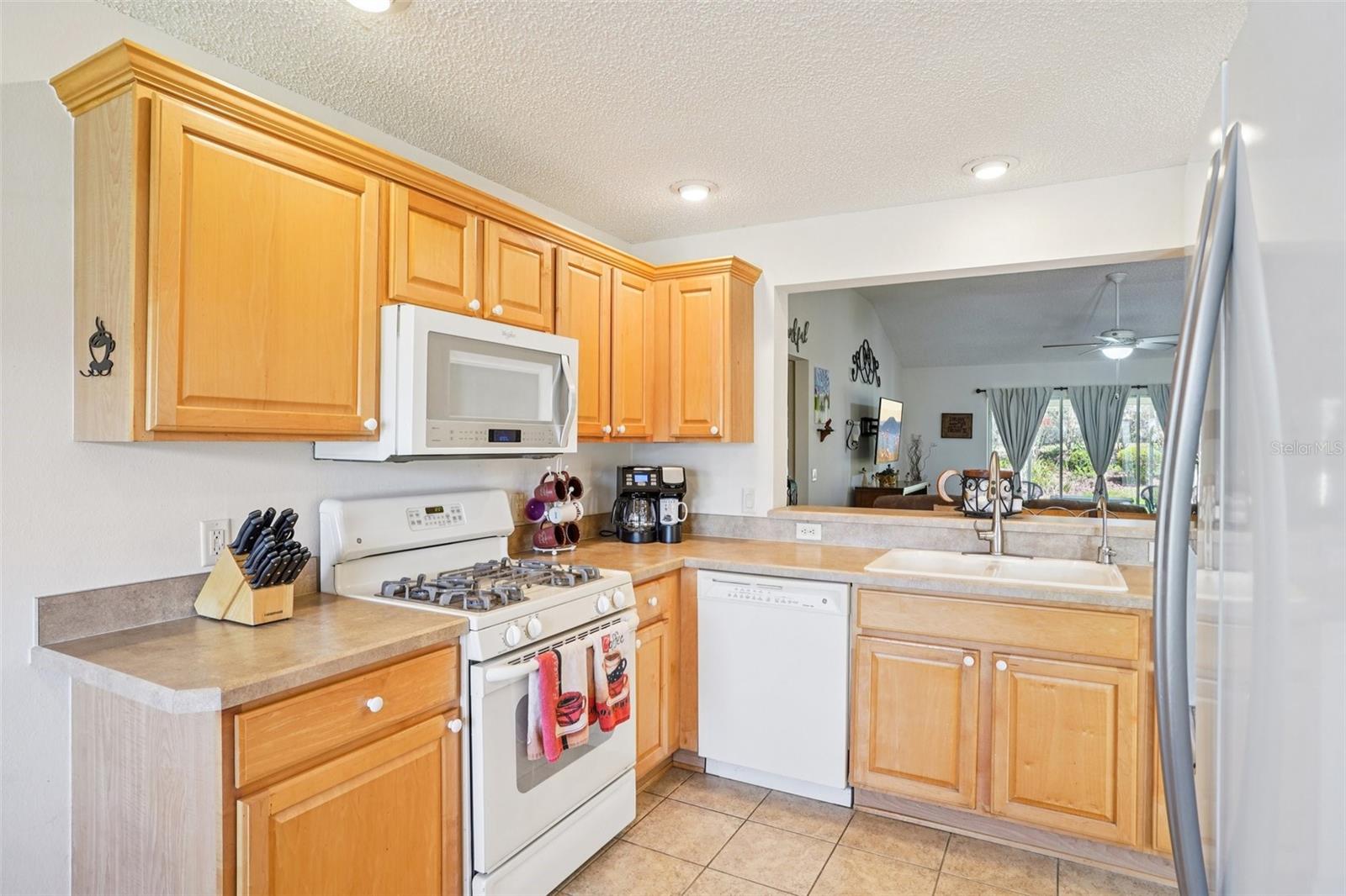 16596 SE 77TH NORTHRIDGE CT, THE VILLAGES, FL — photo 19