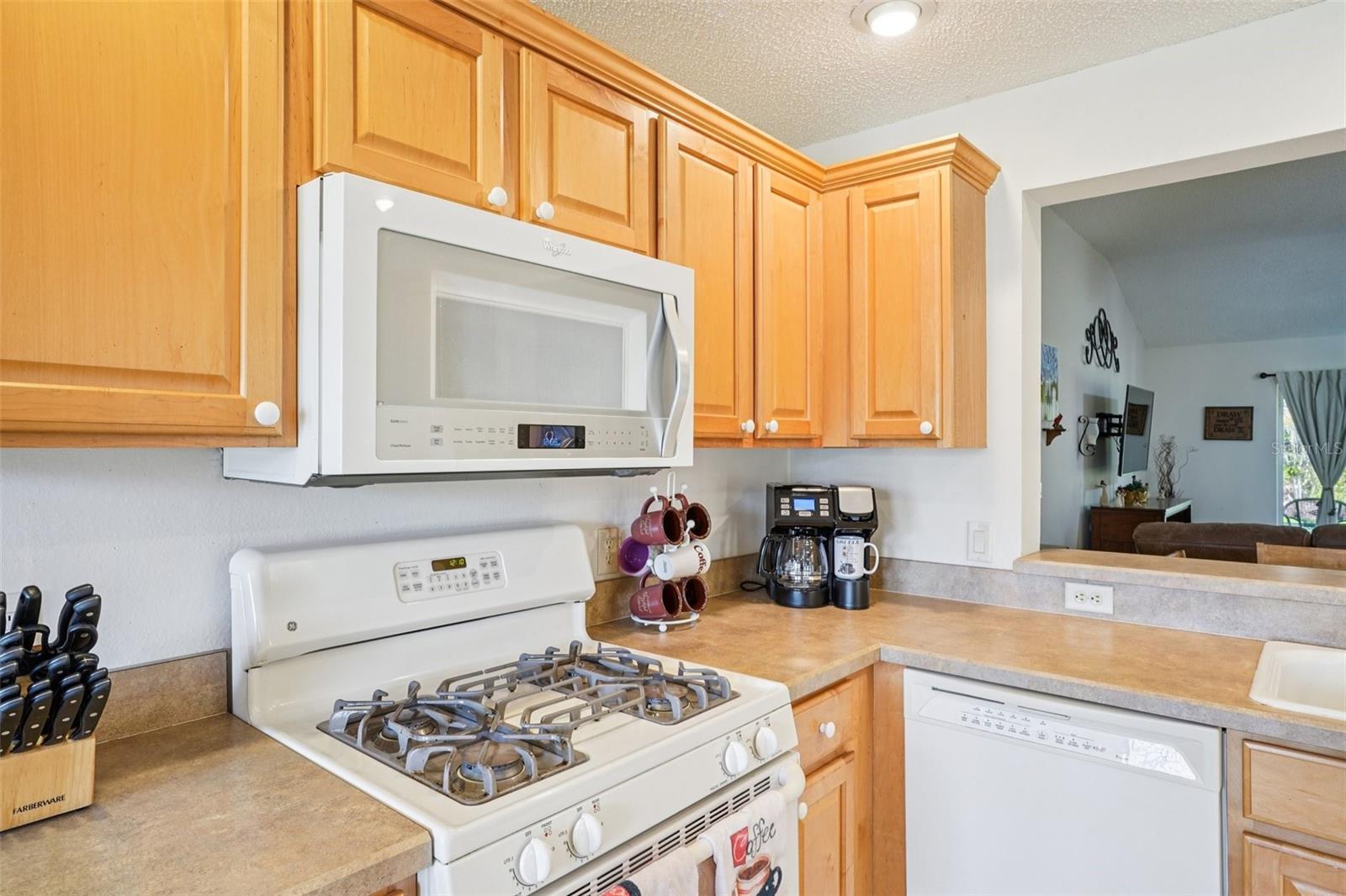 16596 SE 77TH NORTHRIDGE CT, THE VILLAGES, FL — photo 21