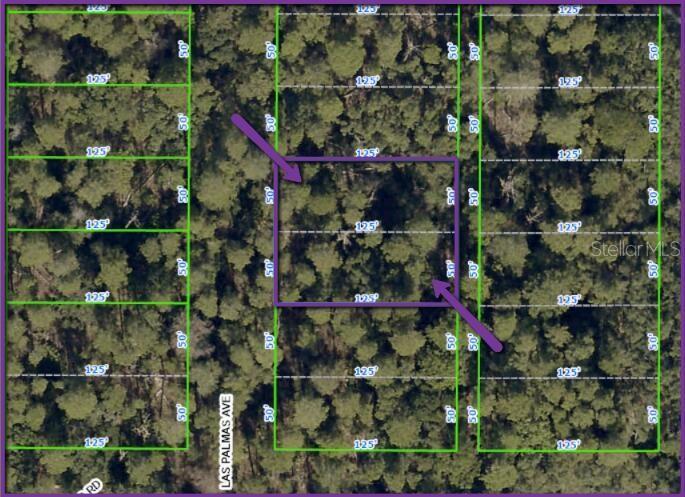 0 LAS PALMAS AVE #lot 11 & 12, SPRING HILL, FL — photo 4