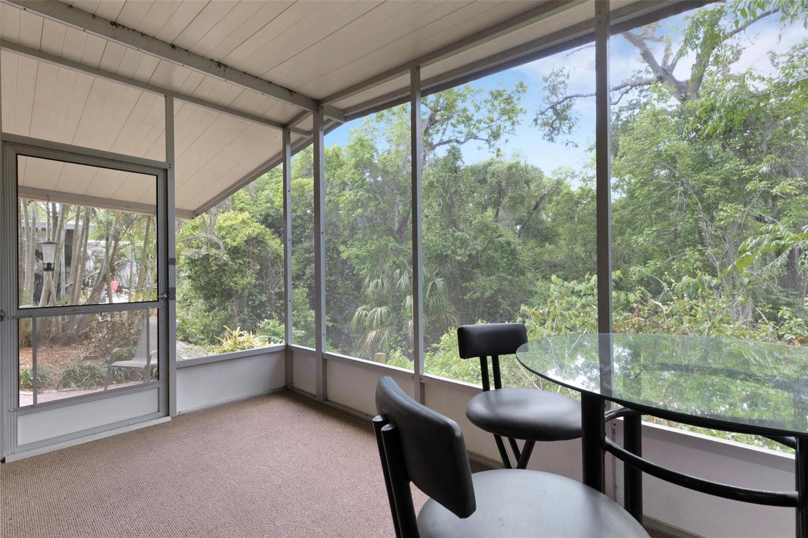 98 CEDAR ELM DR #32, SAFETY HARBOR, FL — photo 29