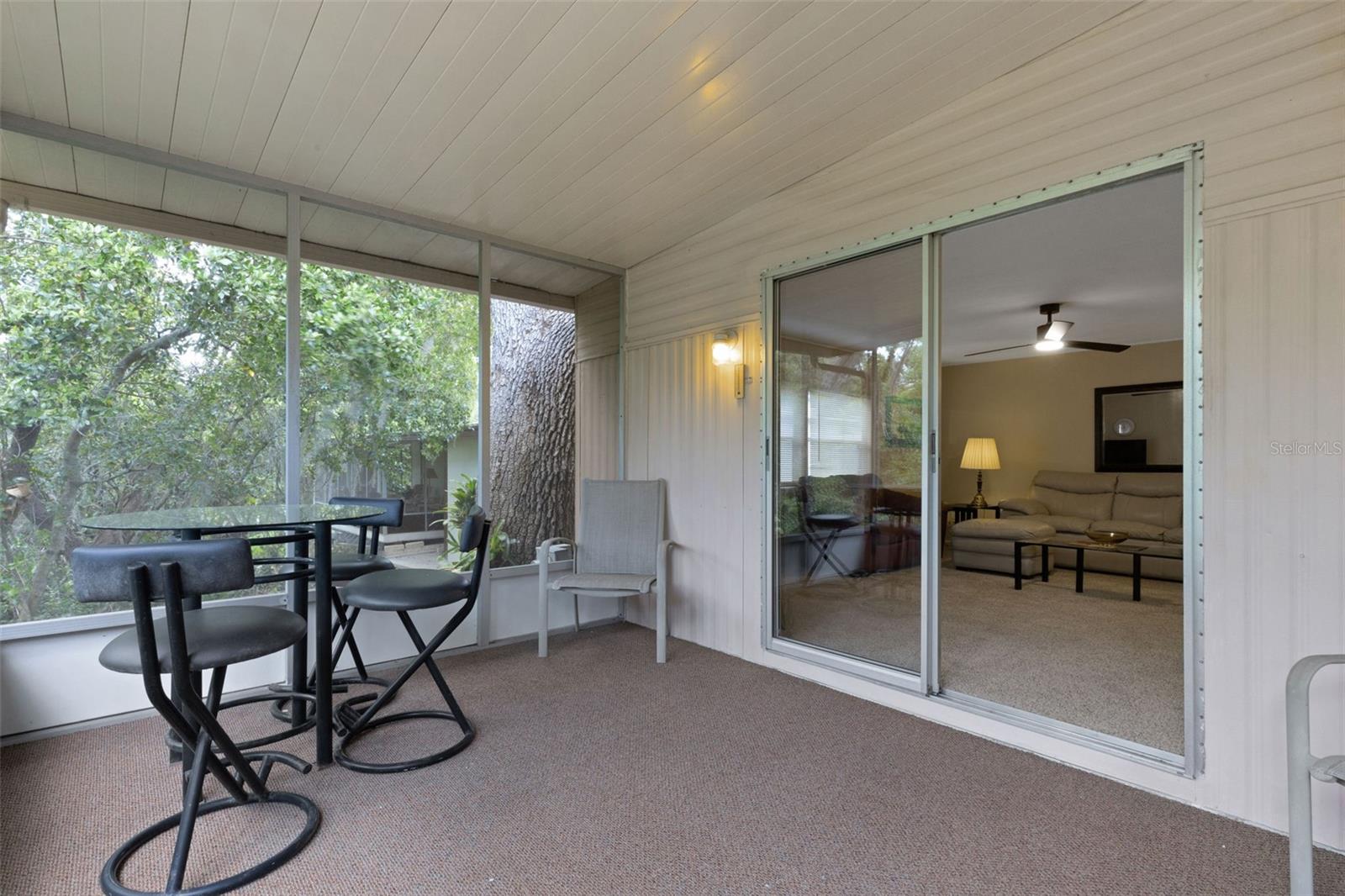 98 CEDAR ELM DR #32, SAFETY HARBOR, FL — photo 30
