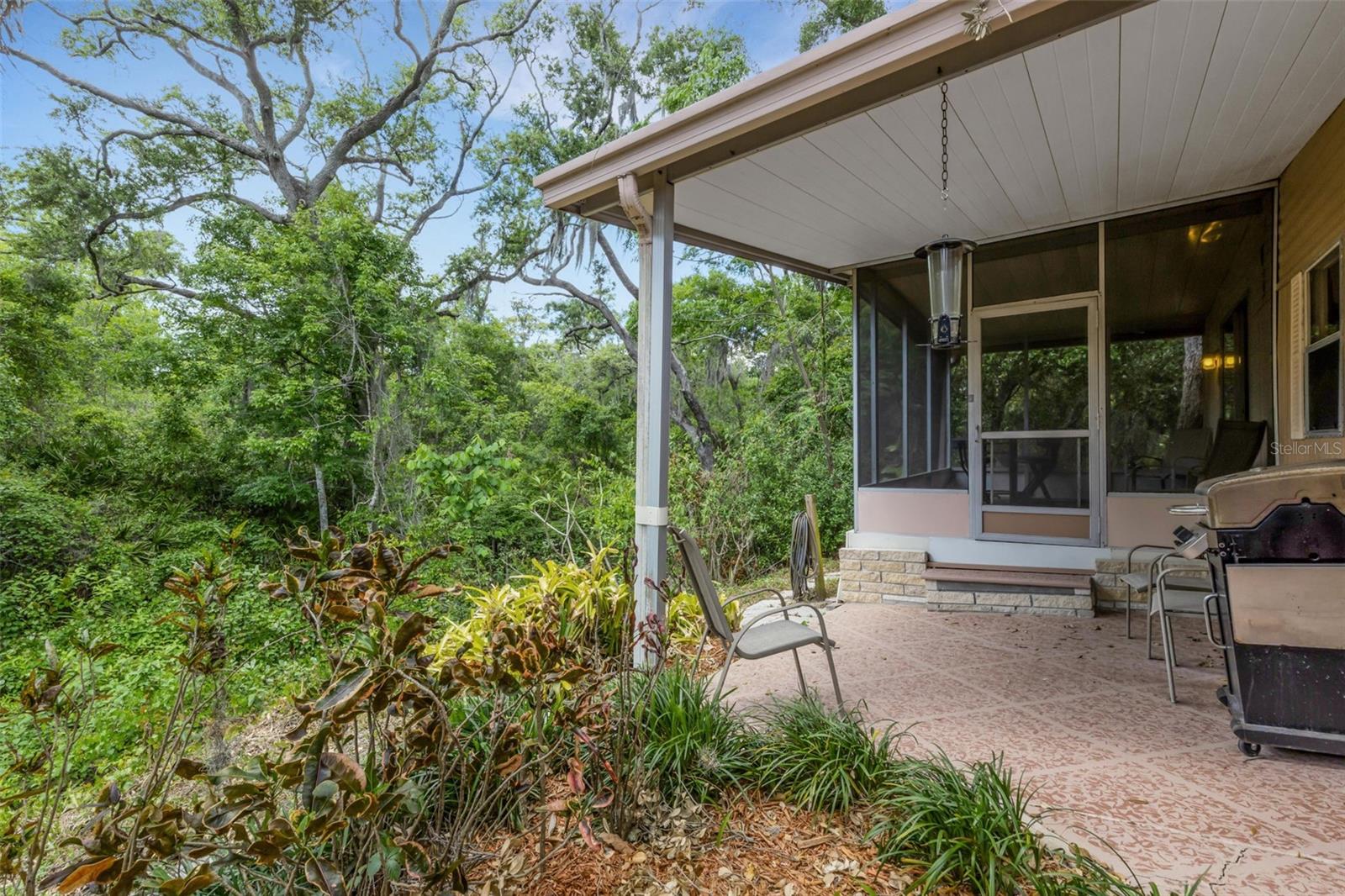 98 CEDAR ELM DR #32, SAFETY HARBOR, FL — photo 31