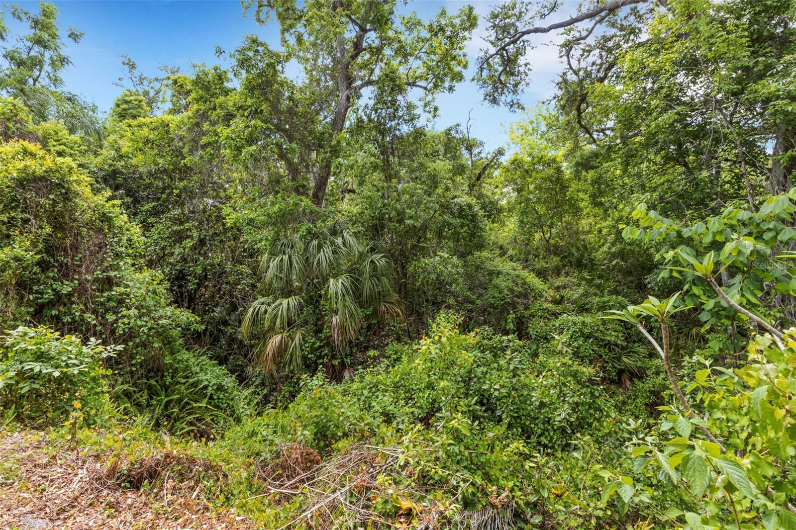 98 CEDAR ELM DR #32, SAFETY HARBOR, FL — photo 33