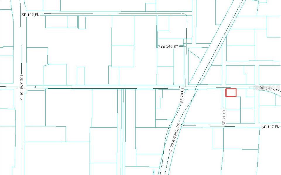 TBD SE 147TH ST, SUMMERFIELD, FL — photo 4