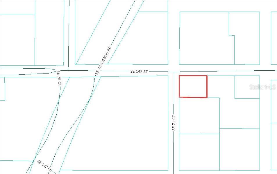 TBD SE 147TH ST, SUMMERFIELD, FL — photo 5