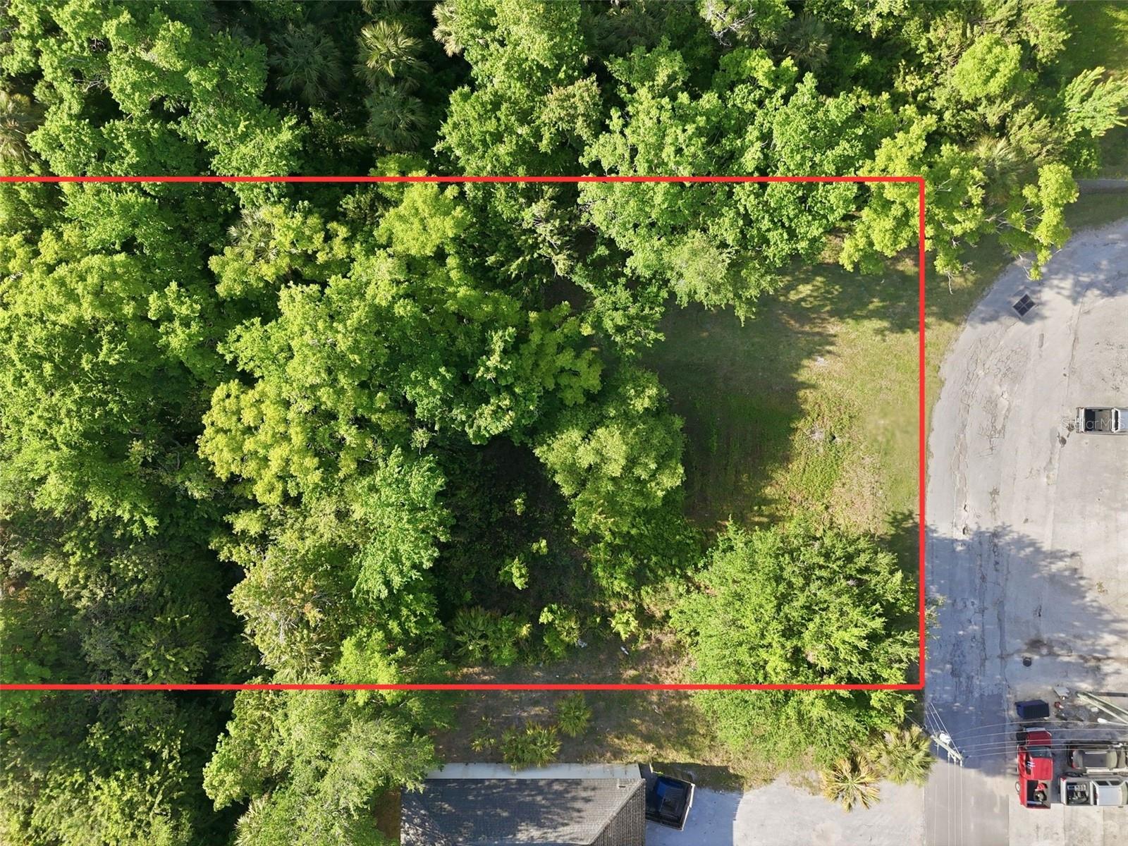 7810 CLARK MOODY BLVD, PORT RICHEY, FL — photo 13