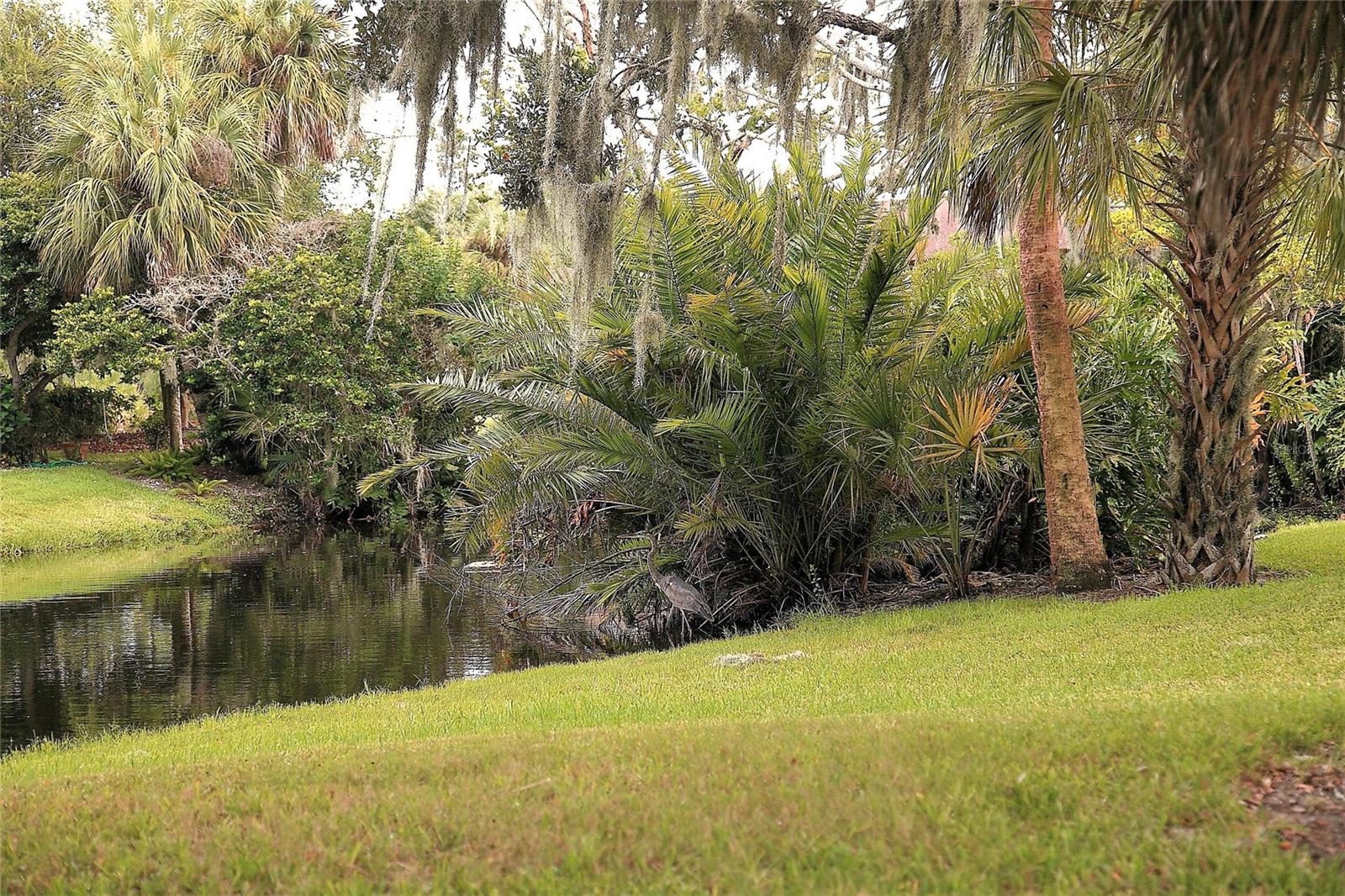 4572 RED MAPLE RD #901, BRADENTON, FL — photo 28