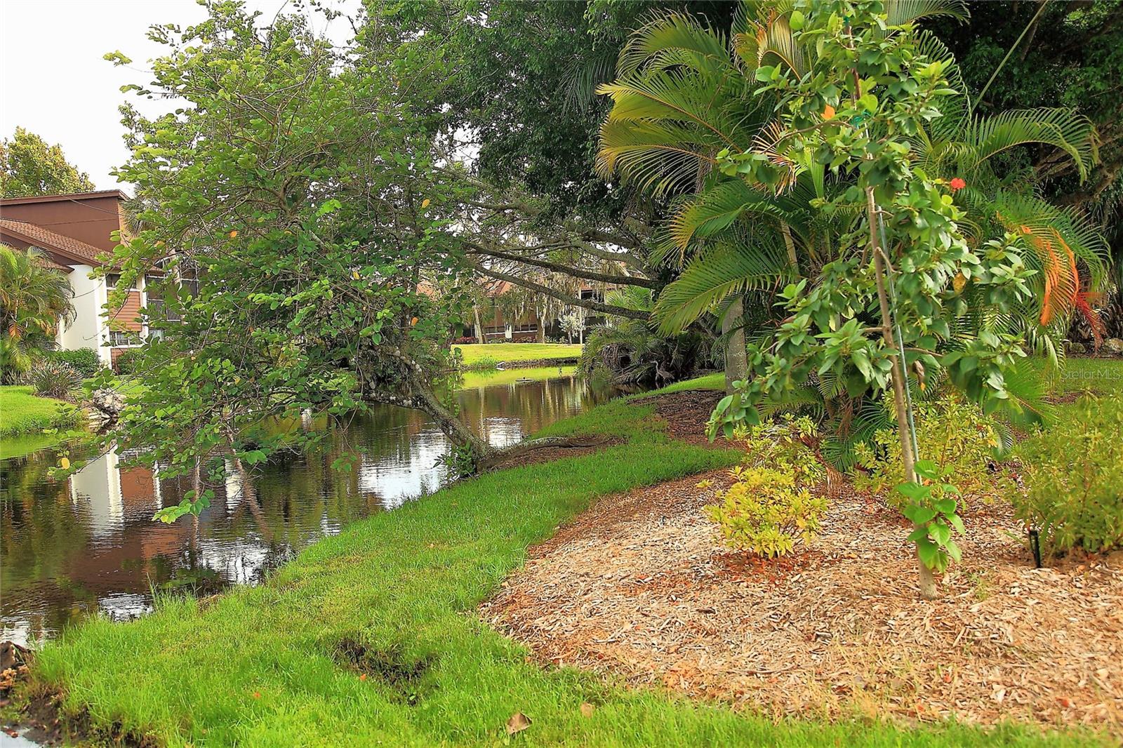 4572 RED MAPLE RD #901, BRADENTON, FL — photo 30