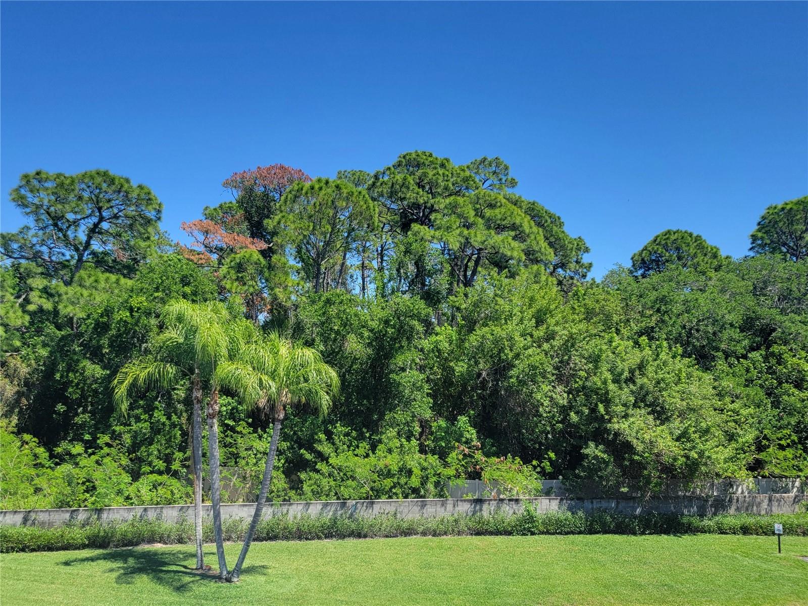 4720 LOCUST ST NE #219, ST PETERSBURG, FL — photo 36