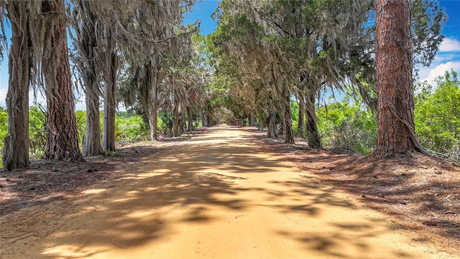 7374 CIRCLE DR, LADY LAKE, FL — photo 105