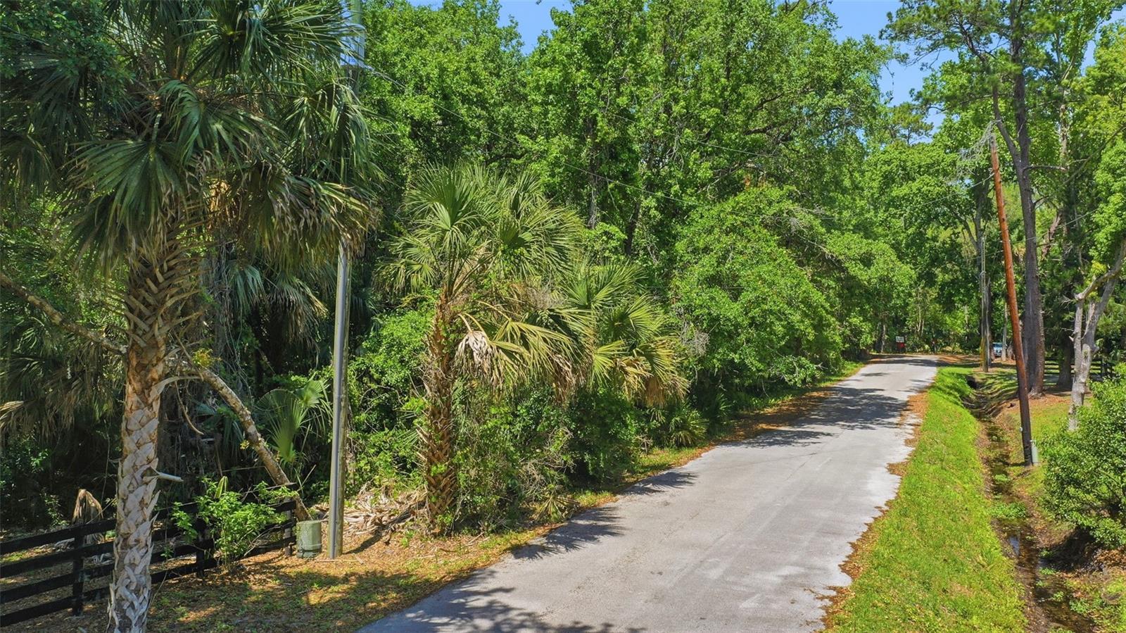 DELK RD, LONGWOOD, FL — photo 11