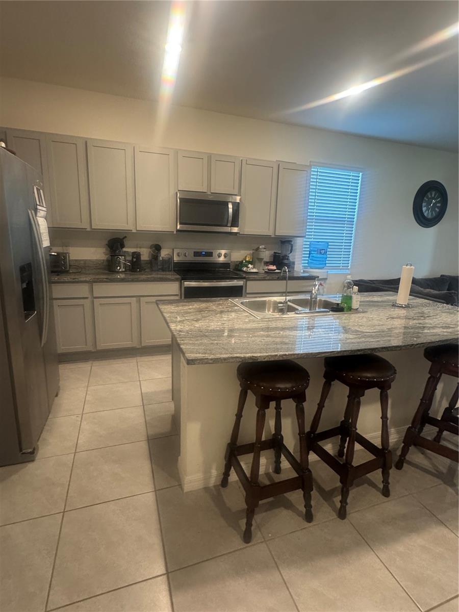 33074 TULIP PETAL LN, WESLEY CHAPEL, FL — photo 3