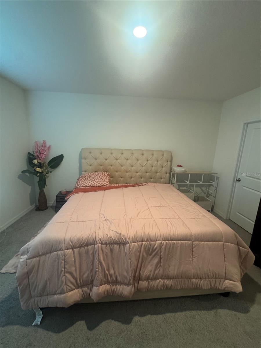33074 TULIP PETAL LN, WESLEY CHAPEL, FL — photo 6