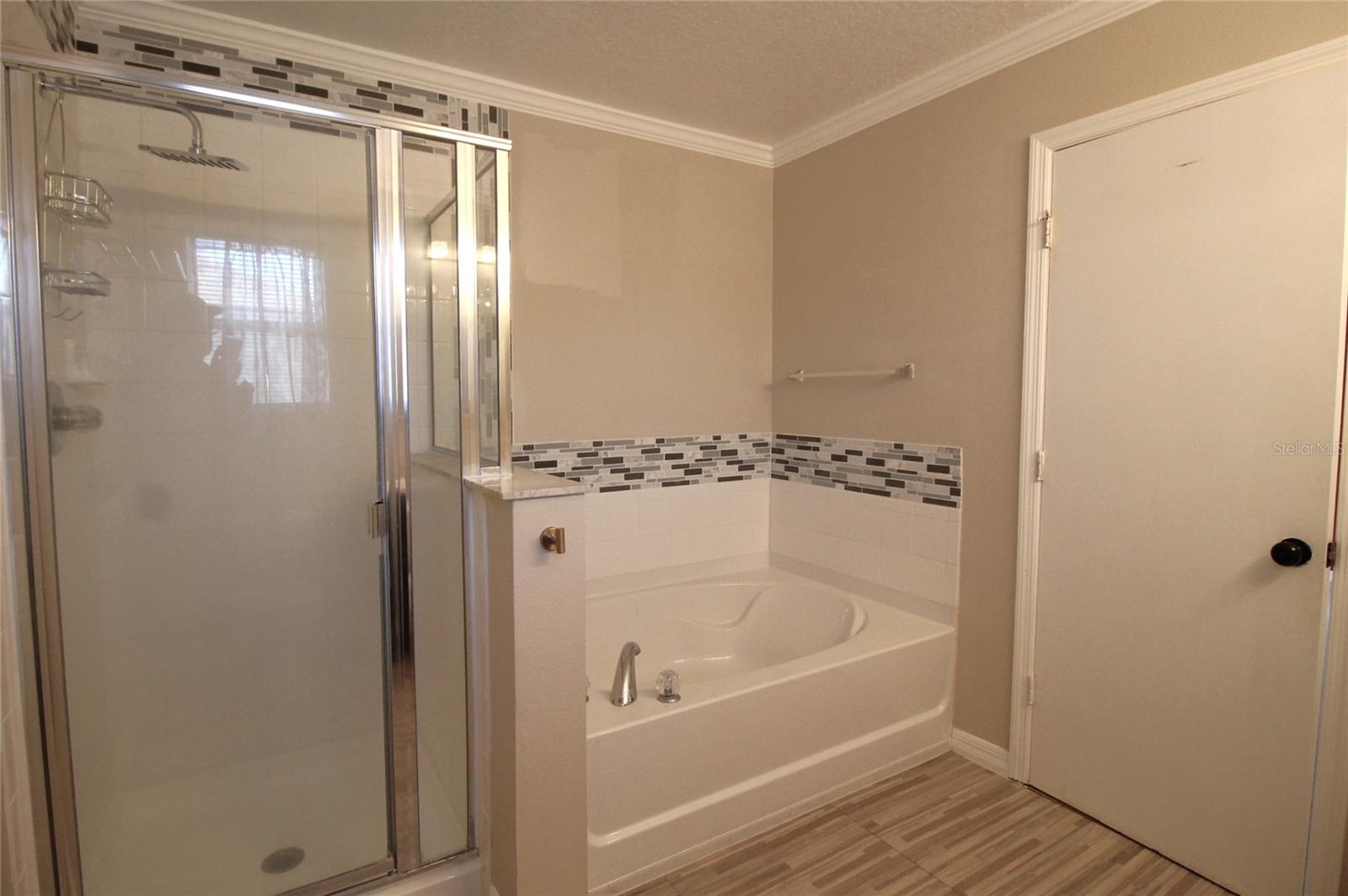 1455 BLUE HORIZON DR, CLERMONT, FL — photo 35