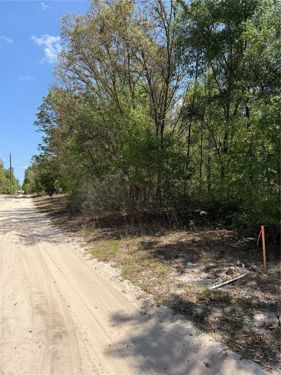 NE 118TH LN, BRONSON, FL — photo 2