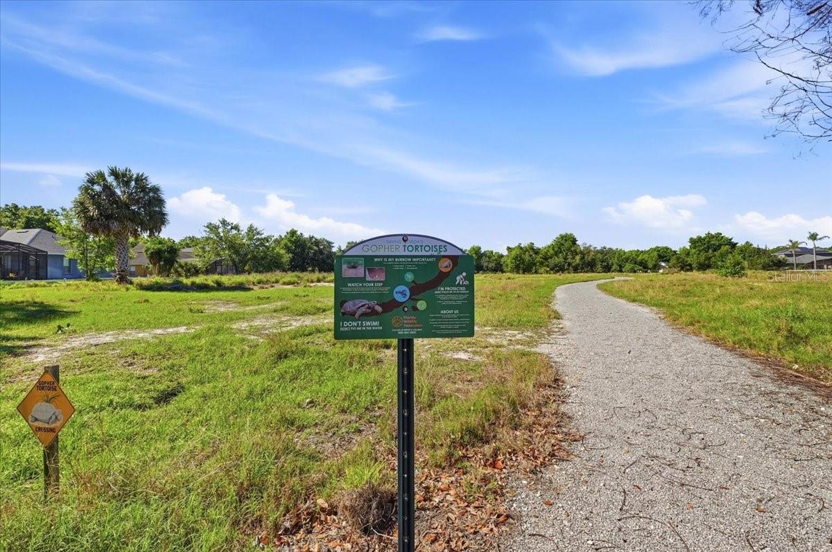 445 AMETHYST AVE, AUBURNDALE, FL — photo 59