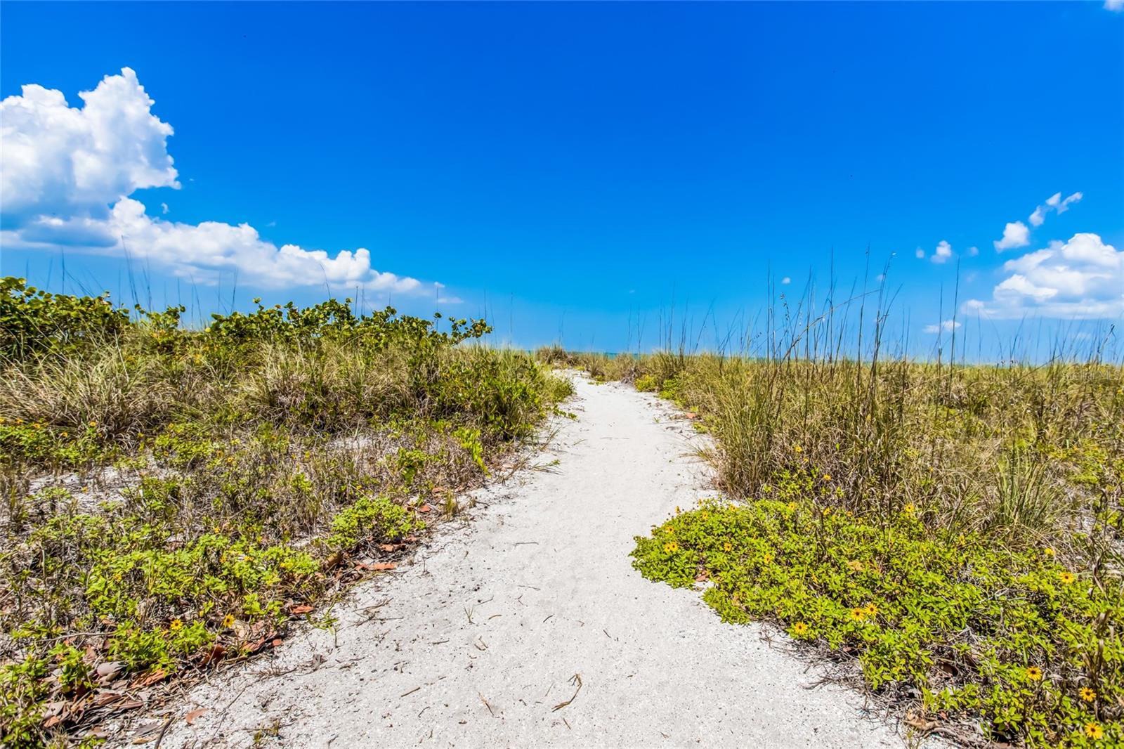 420 GULF BLVD #9, BOCA GRANDE, FL — photo 30