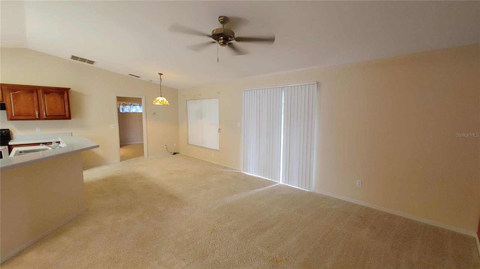 14413 N GREATER HILLS BLVD, CLERMONT, FL — photo 11