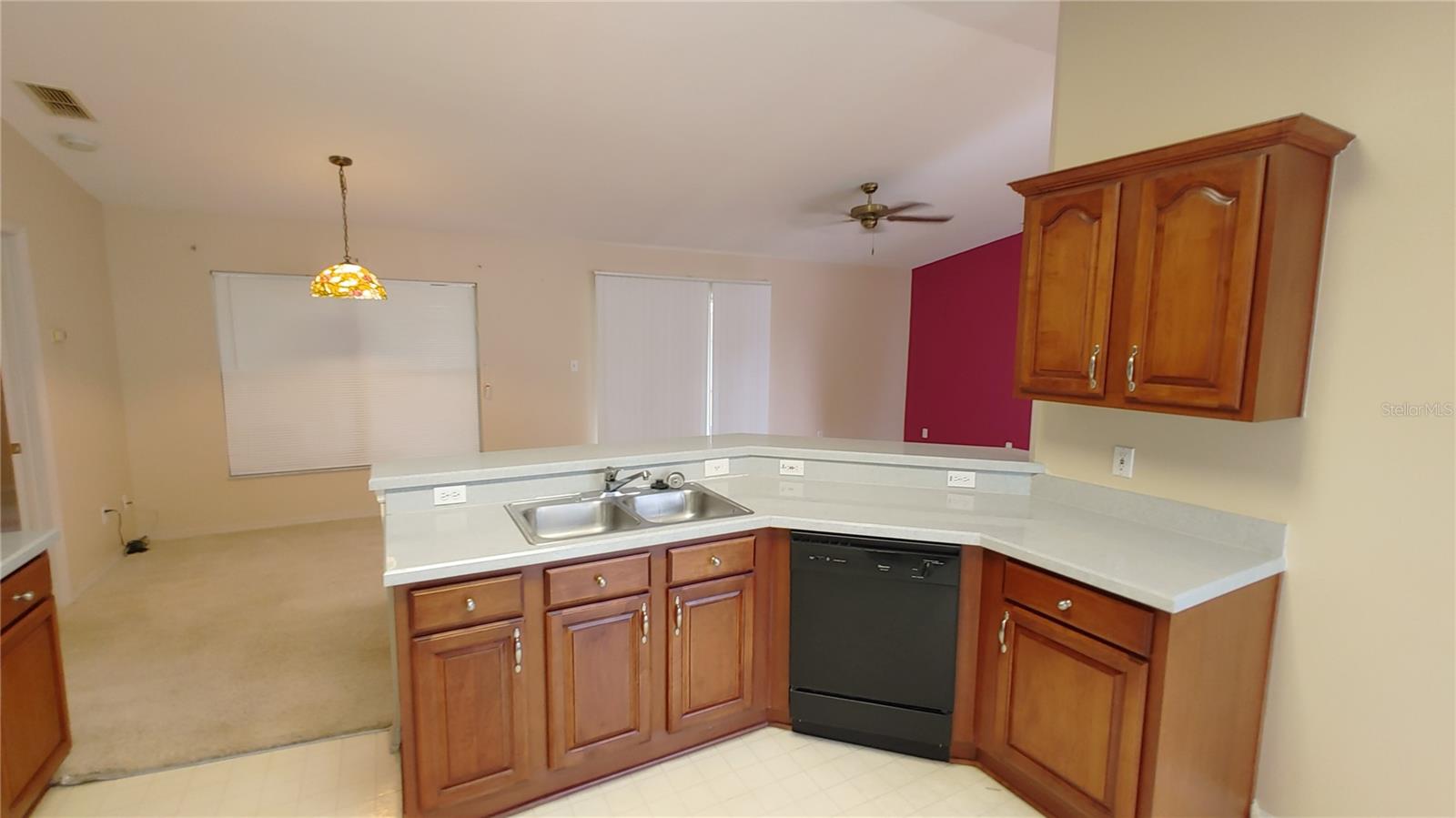 14413 N GREATER HILLS BLVD, CLERMONT, FL — photo 47