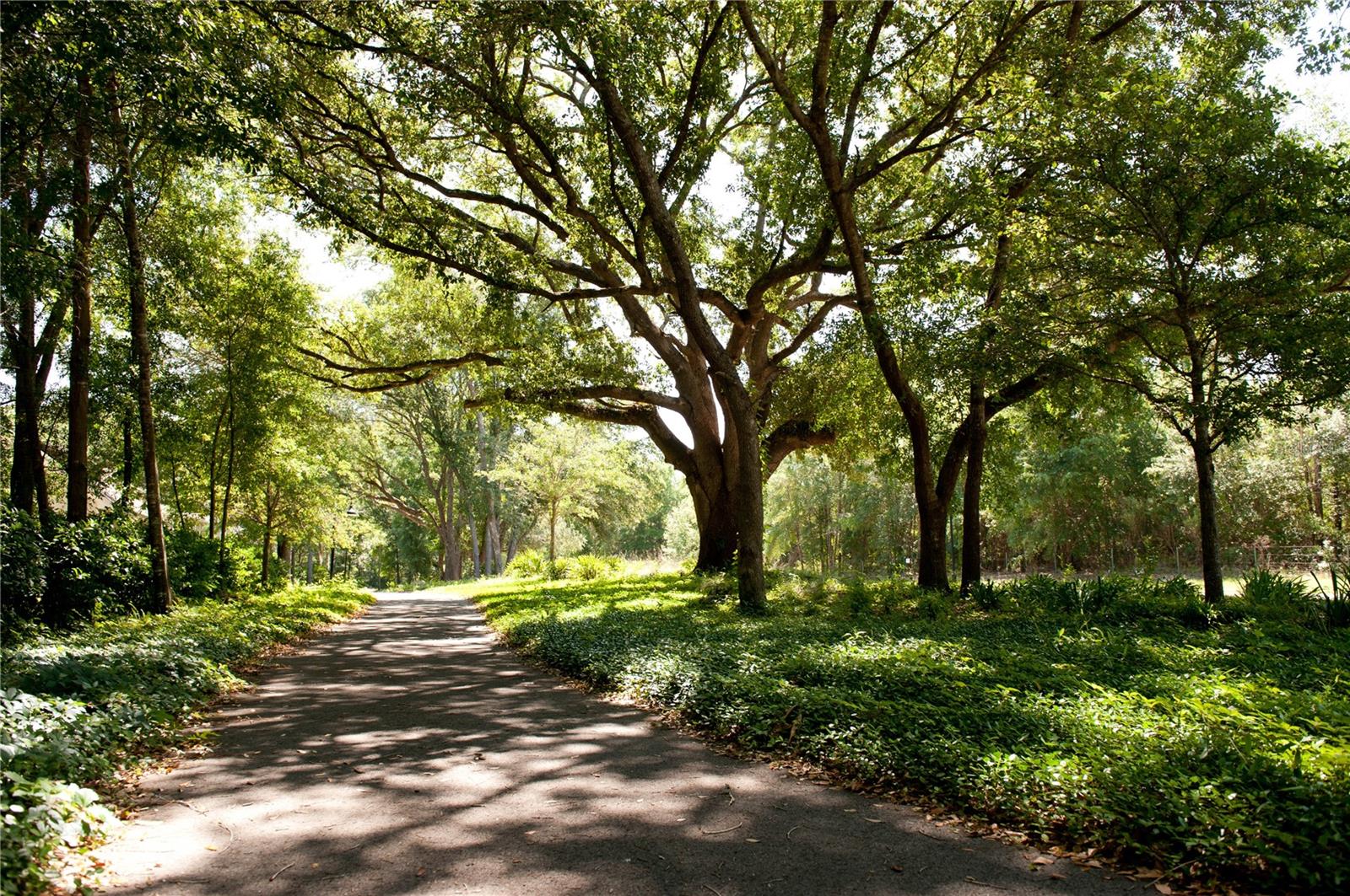 13327 SW 9TH RD, NEWBERRY, FL — photo 4
