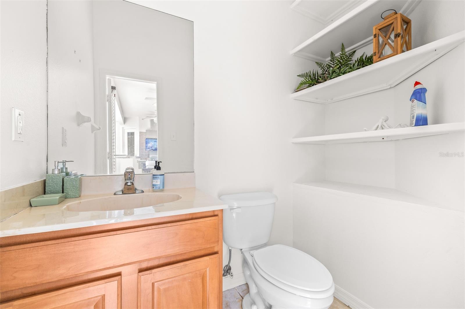 10102 DEERCLIFF DR, TAMPA, FL — photo 62