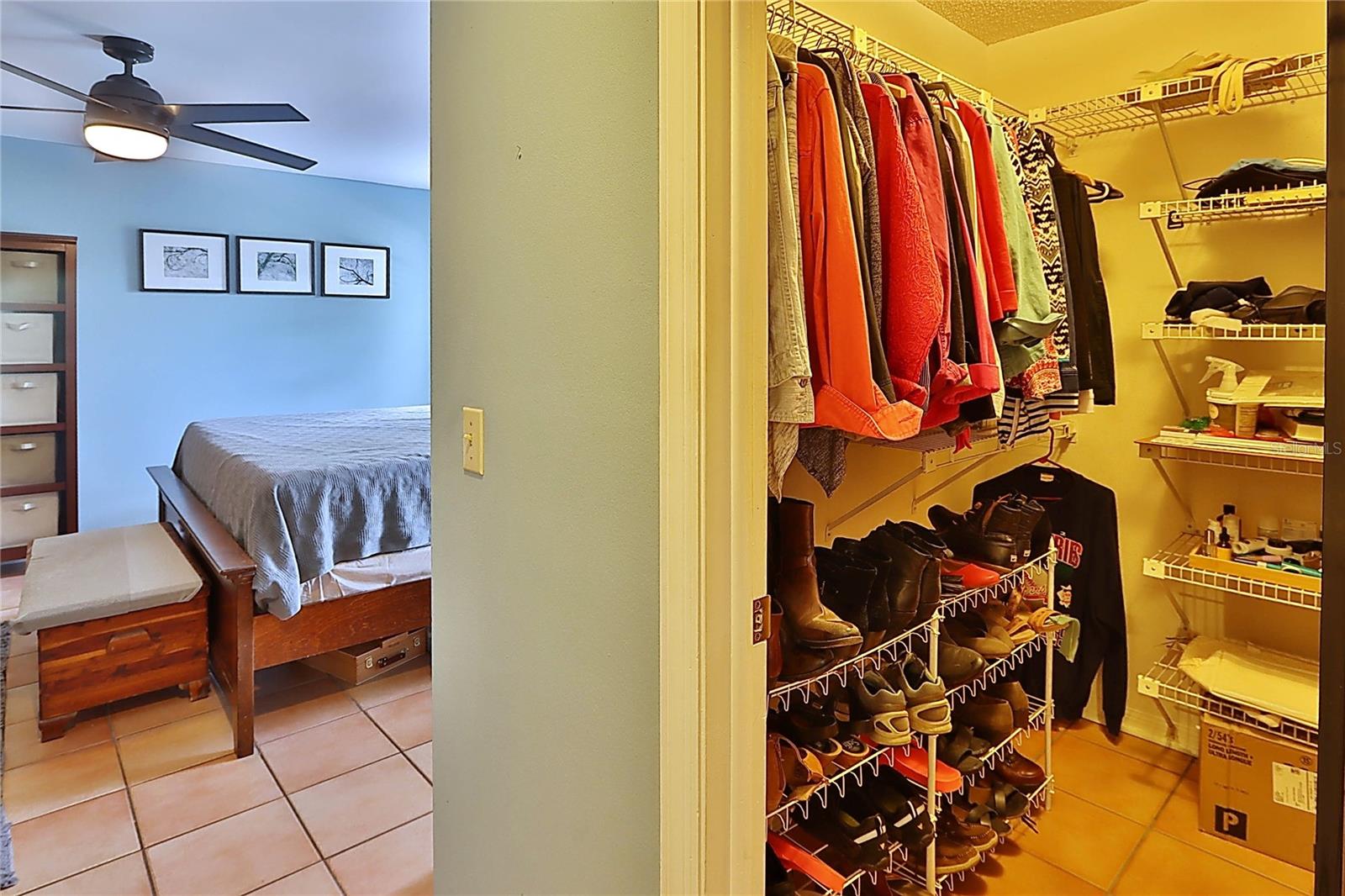 19814 DEER HOLLOW LN, LUTZ, FL — photo 8
