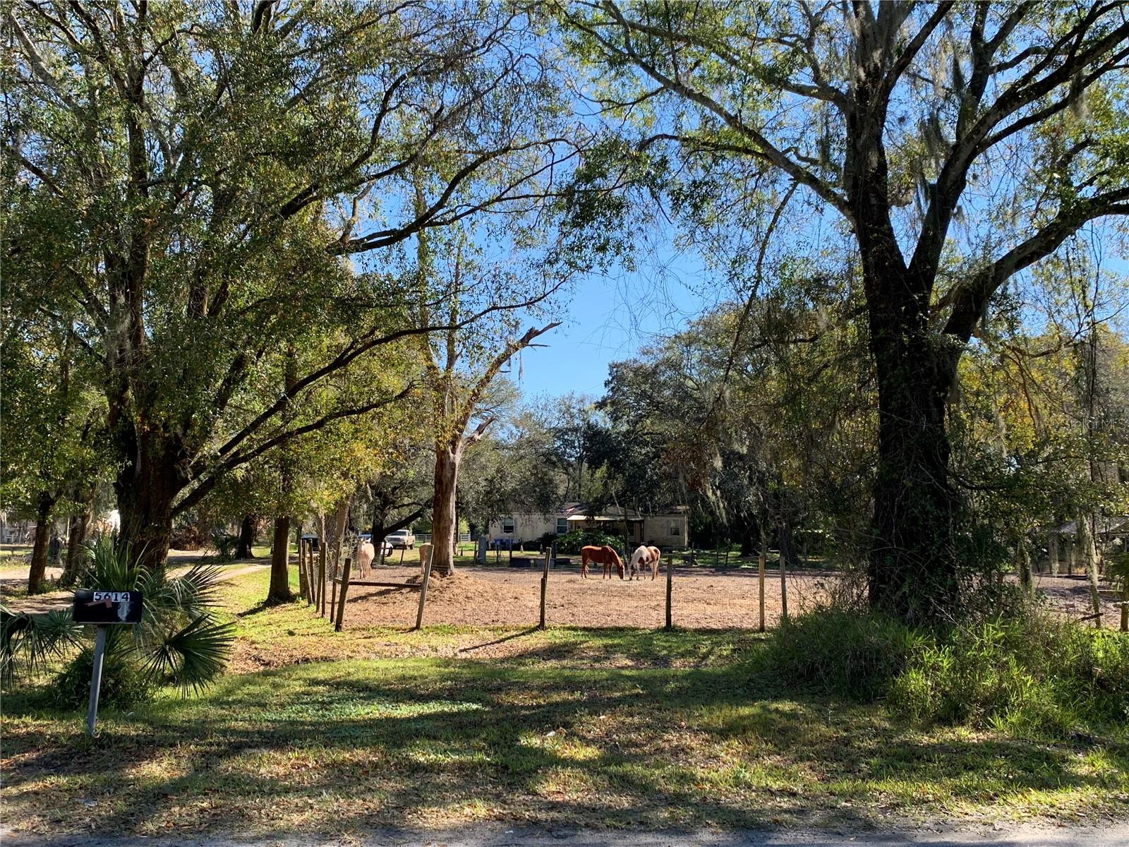 5614 WATSON RD, RIVERVIEW, FL