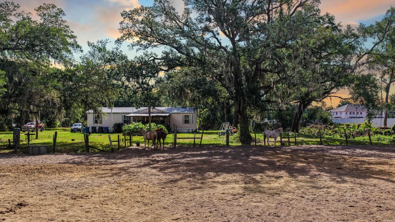 5614 WATSON RD, RIVERVIEW, FL — photo 3